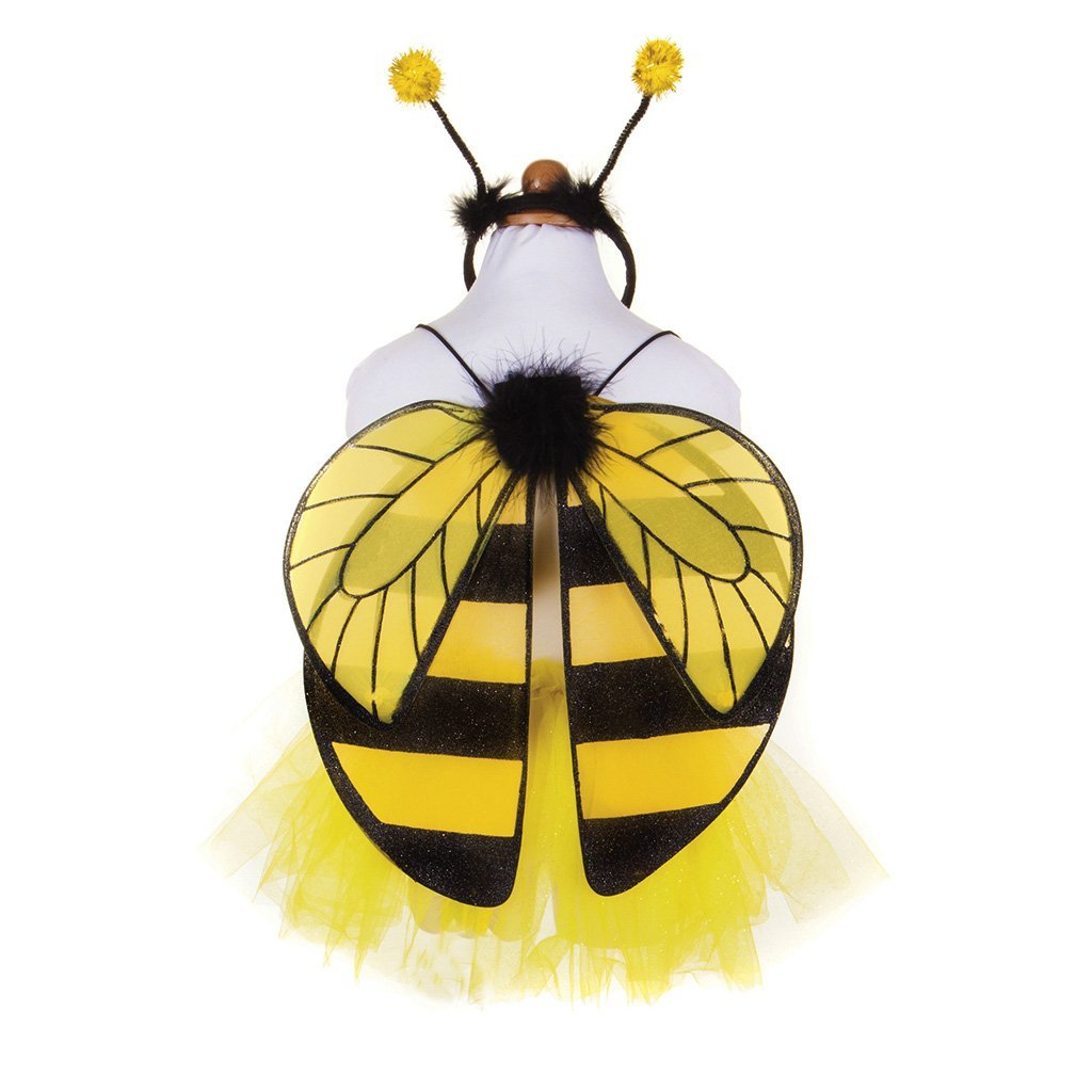 Un uomo vestito da ape con le ali e un costume da insetto.